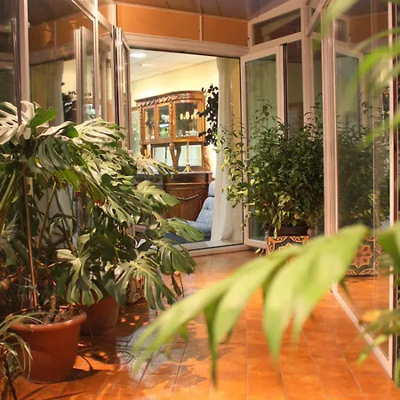 Iberia Plaza America 2* Caces